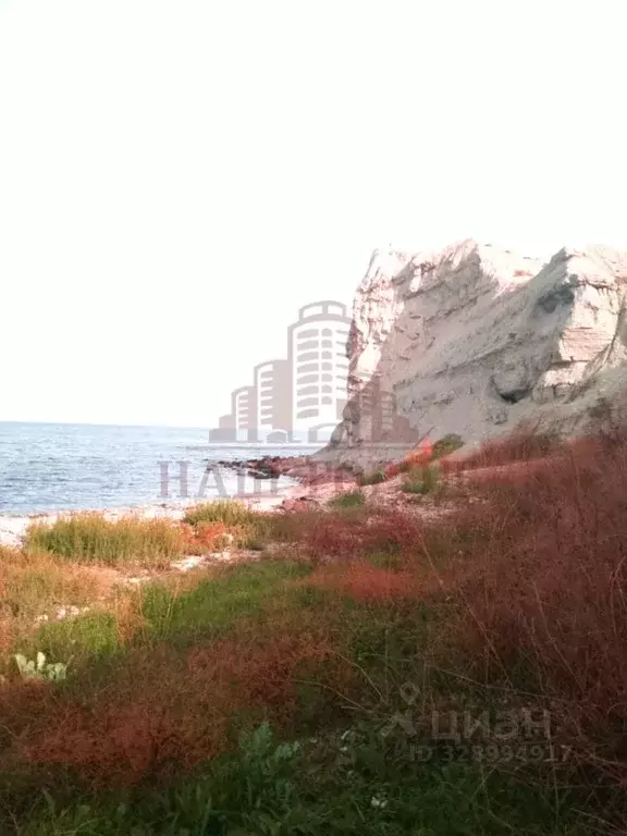 Свободной планировки кв. Крым, Феодосия Прибой тер.,  (25.0 м) - Фото 1