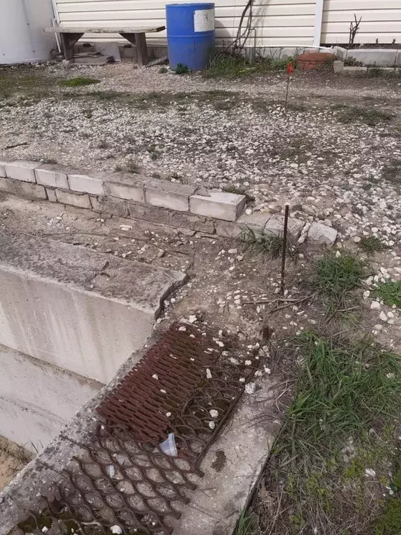 Участок в Рязанская область, Рязанский муниципальный округ, с. Шумашь  ... - Фото 1