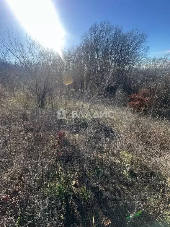 Участок в Адыгея, Майкоп Звездочка СНТ,  (5.0 сот.) - Фото 1