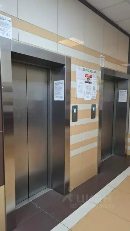 2-к кв. Новосибирская область, Новосибирск Вилюйская ул., 17 (69.6 м) - Фото 2