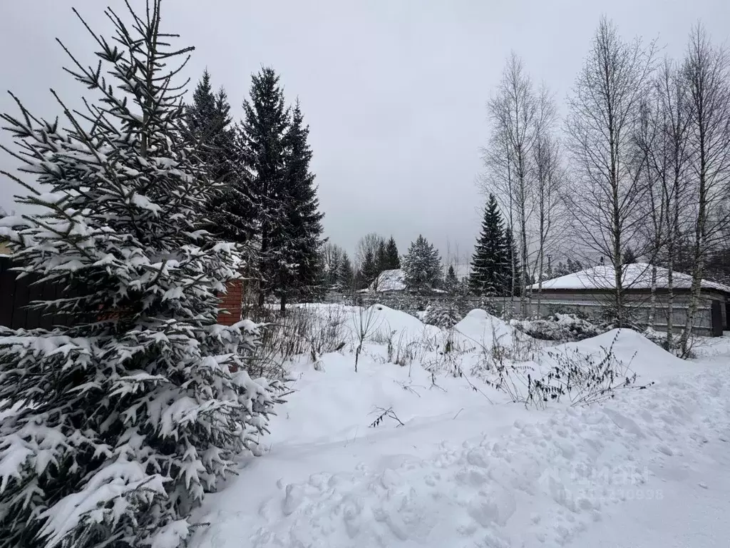 Участок в Московская область, Одинцовский городской округ, д. Сивково, ... - Фото 1