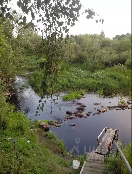 Участок в Новгородская область, Хвойнинский муниципальный округ, с. ... - Фото 0