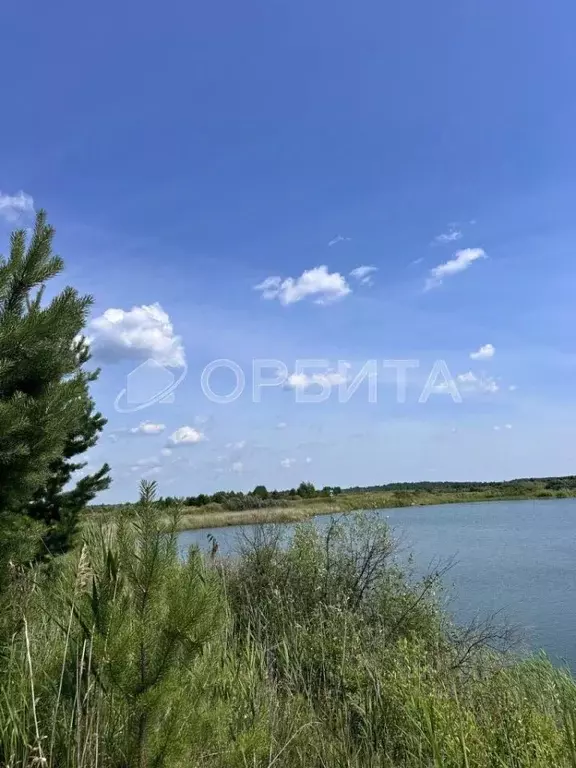 Участок в Тюменская область, Нижнетавдинский муниципальный округ, ... - Фото 1