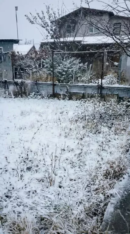 Дом в Воронежская область, Воронеж Шинник-2 СНТ, ул. 1-я, 4 (25 м) - Фото 1