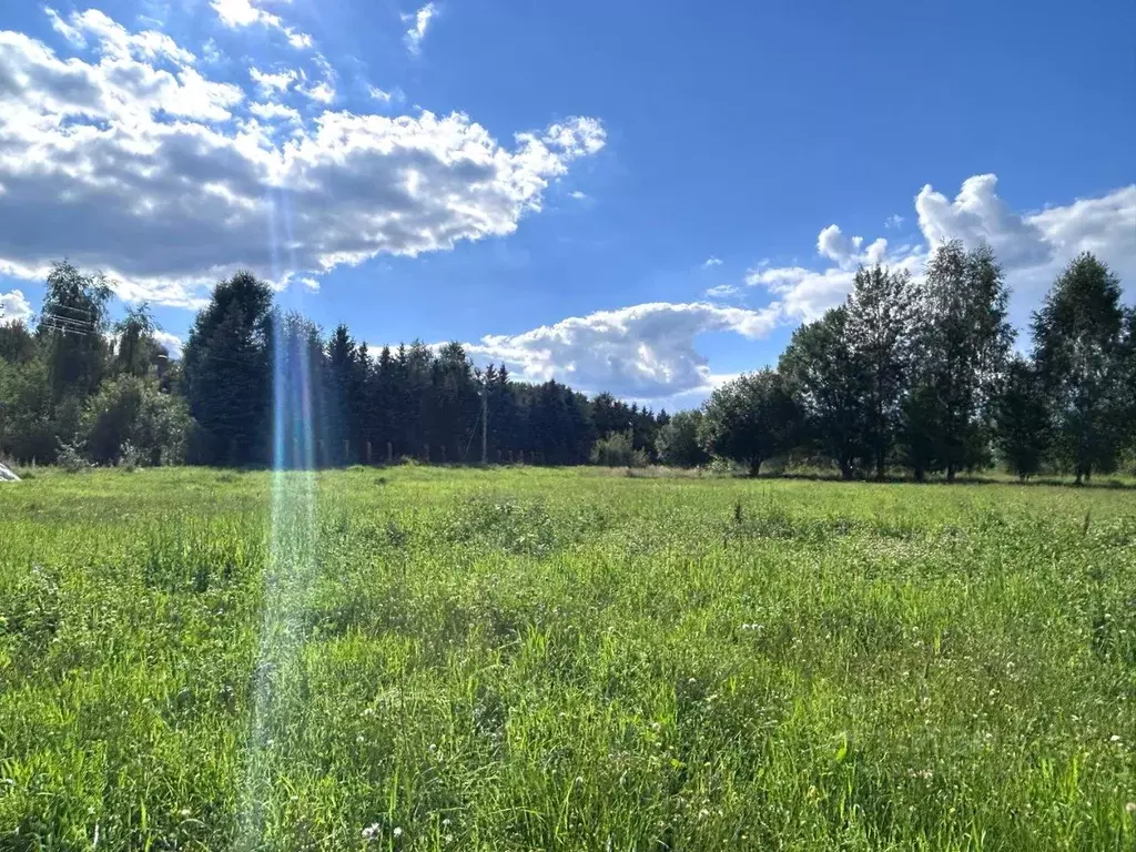 Участок в Московская область, Дмитровский муниципальный округ, д. ... - Фото 1