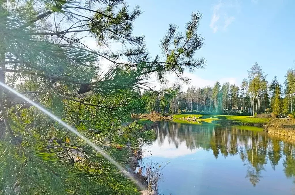 Участок в посёлок Ленинское, КП Репинская усадьба-1 (23.81 м) - Фото 2