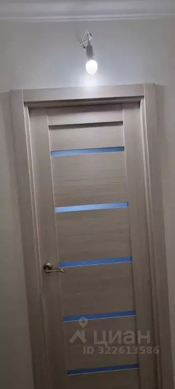 2-к кв. Санкт-Петербург просп. Науки, 14К1 (46.0 м) - Фото 2