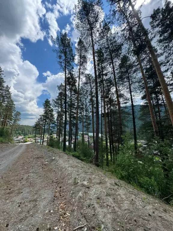 Участок в Алтай, Чемальский район, Узнезинское с/пос, с. Узнезя  (12.0 ... - Фото 2