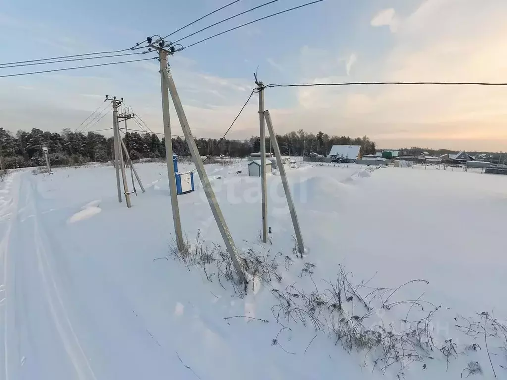 Участок в Тюменская область, Тюменский муниципальный округ, Ежевика дп ... - Фото 0