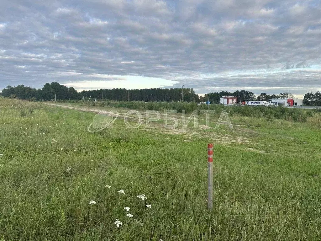 Участок в Тюменская область, Тюменский муниципальный округ, с. Борки ... - Фото 2