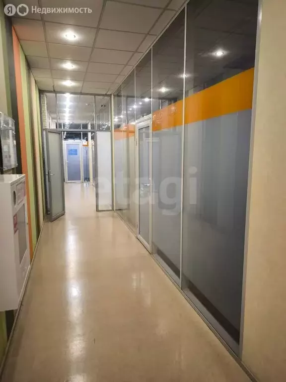 Офис (24.5 м) - Фото 2