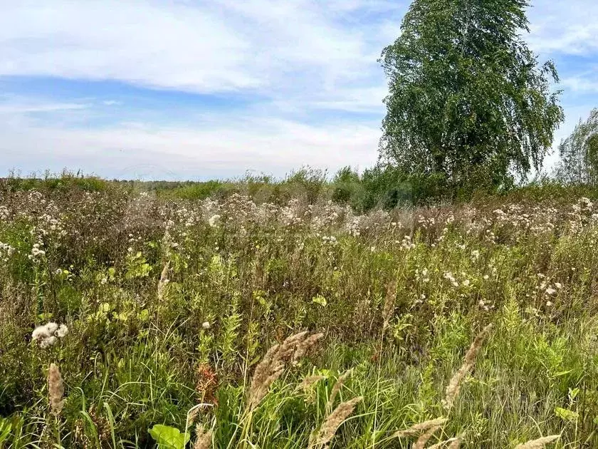 Участок в Тюменская область, Тюмень СОСН Березовое Озеро тер., ул. ... - Фото 0