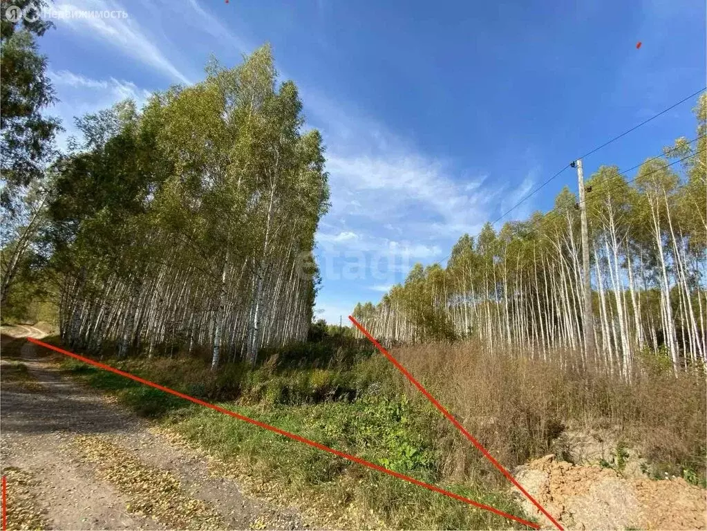 Участок в округ Муром, деревня Иваньково (300 м) - Фото 1