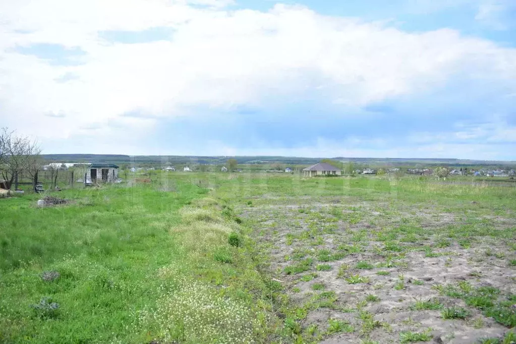 Село новоживотинное. Новоживотинное воронежская область. Участки в новоживотинном. Новоживотинное коттеджный поселок медовка. Участки в новоживотинном.