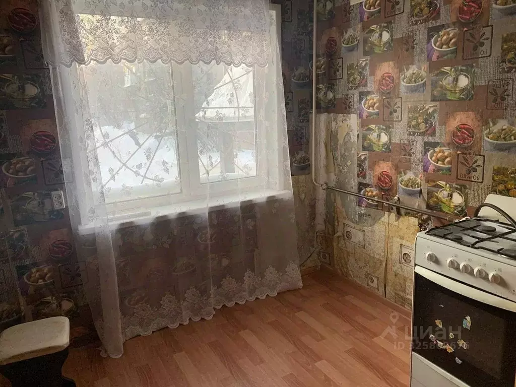 1-к кв. Пермский край, Березники ул. Ермака, 68 (30.2 м) - Фото 2