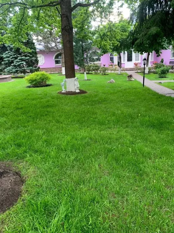 Дом в Москва д. Софьино, 62 (530 м) - Фото 2