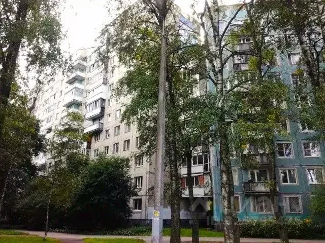 1-к кв. Санкт-Петербург Светлановский просп., 71К2 (30.5 м) - Фото 1