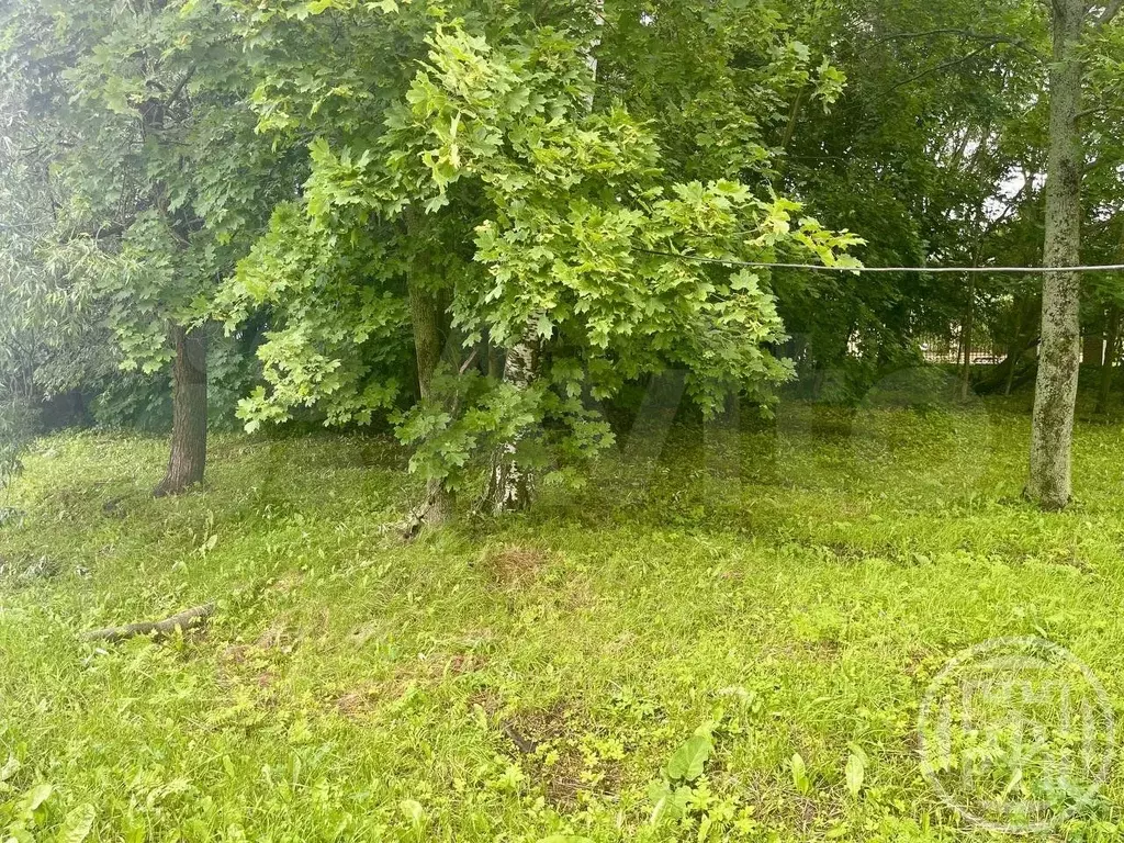 Участок 10,3 сот. (ИЖС) - Фото 1