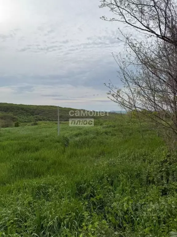 Участок в Ставропольский край, Грачевский муниципальный округ, ... - Фото 2