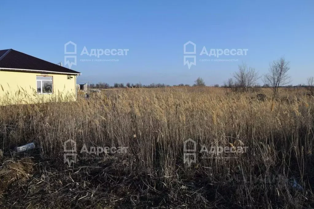 Участок в Волгоградская область, Краснослободск Среднеахтубинский ... - Фото 1