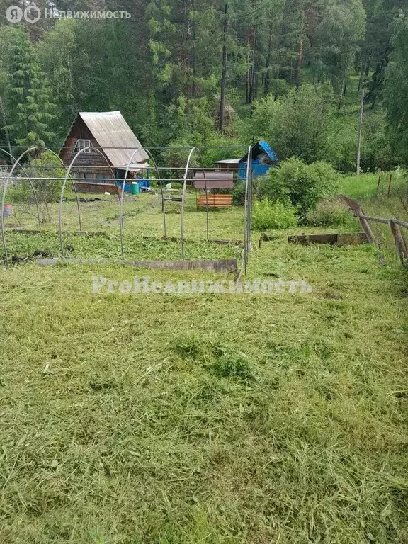 Участок в Камарчагский сельсовет, СНТ Красная Калина, Родниковая улица ... - Фото 1