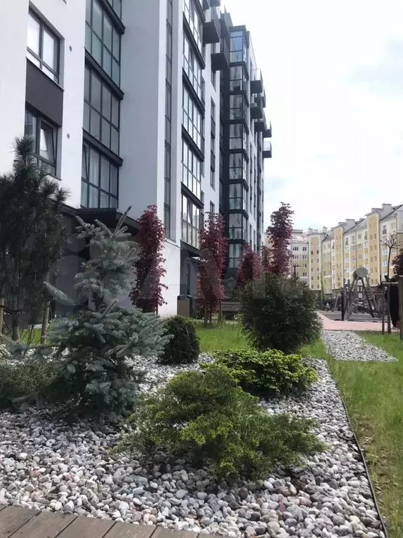 1-к. квартира, 54,1 м, 4/9 эт. - Фото 0
