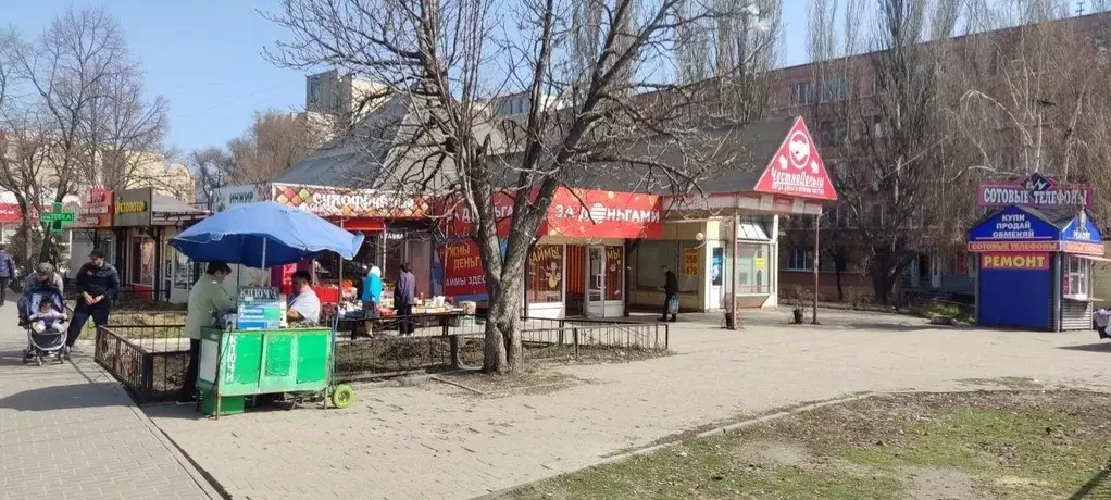 Торговая площадь в Пензенская область, Пенза ул. Чехова, 3 (24 м) - Фото 1