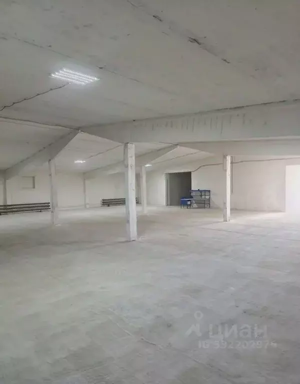 Склад в Московская область, Серпухов городской округ, д. Арнеево, А ... - Фото 2