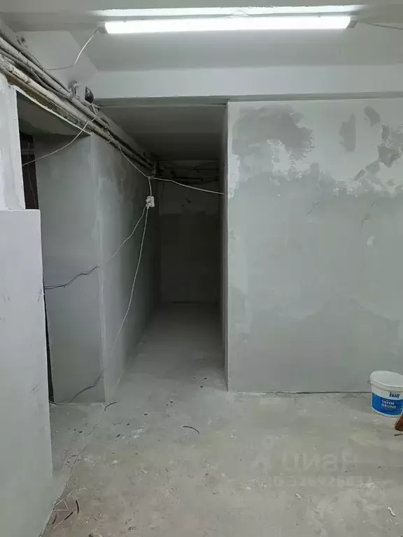 Помещение свободного назначения в Алтайский край, Барнаул ул. 1 Мая, 8 ... - Фото 2