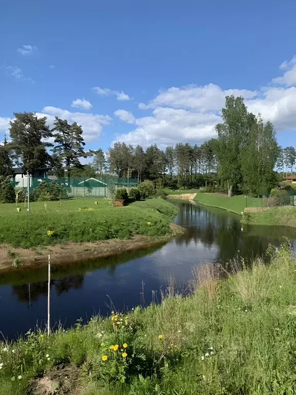 Участок в Санкт-Петербург пос. Репино, Финляндская ул., 11 (60.0 сот.) - Фото 2