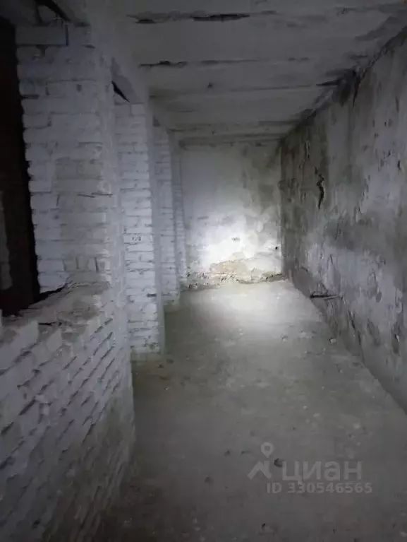 Помещение свободного назначения в Брянская область, Брянск ... - Фото 1