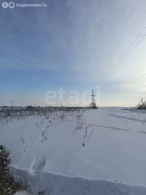 Участок в Амурская область, Благовещенский муниципальный округ, село ... - Фото 2
