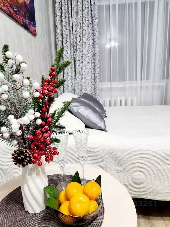 1-к кв. Архангельская область, Мирный ул. Ломоносова, 1 (31.0 м) - Фото 1