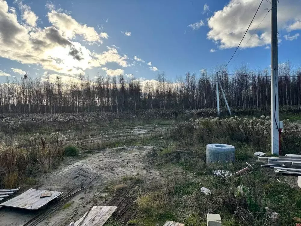 Участок в Калининградская область, Пионерский пос. Рыбное,  (6.2 сот.) - Фото 2