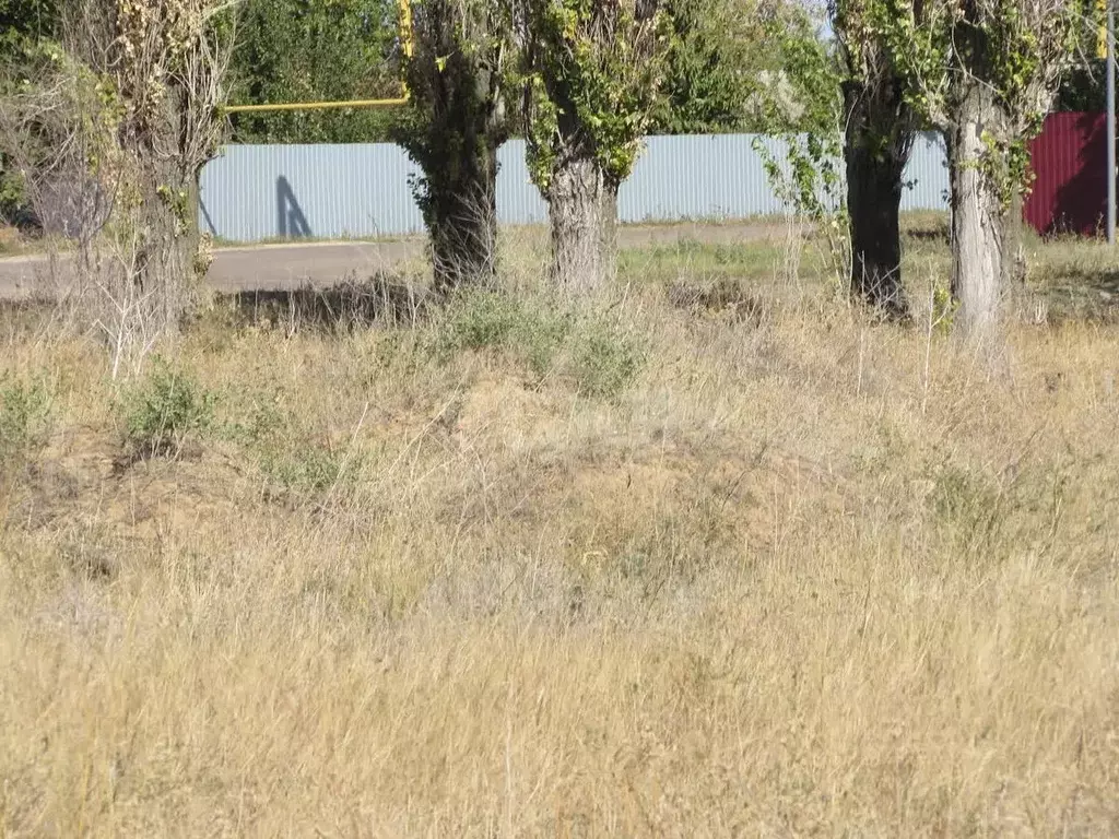 Участок в Волгоградская область, Среднеахтубинский район, ... - Фото 1