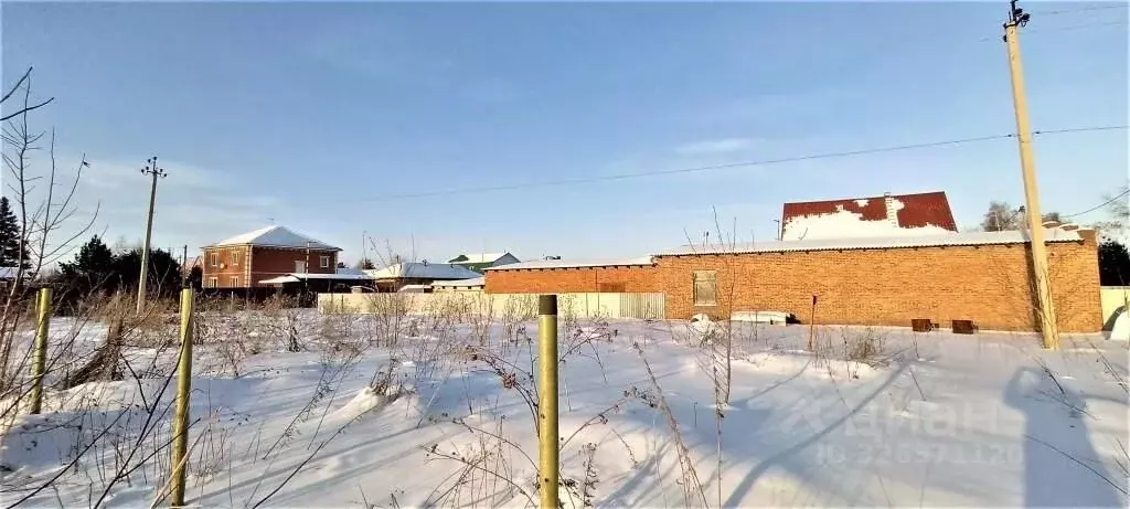 Участок в Омская область, Омский район муниципальный округ, с. Пушкино ... - Фото 2