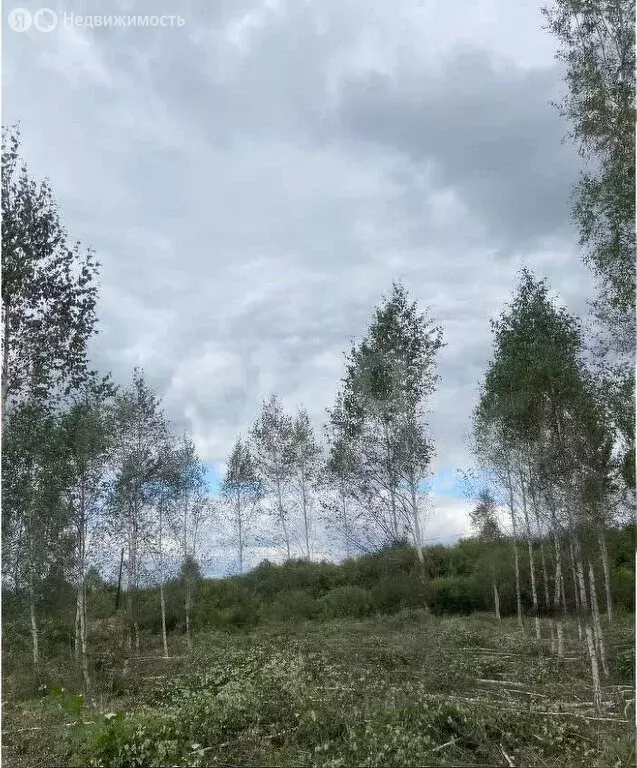 Участок в Нижнетавдинский район, село Средние Тарманы (20 м) - Фото 1