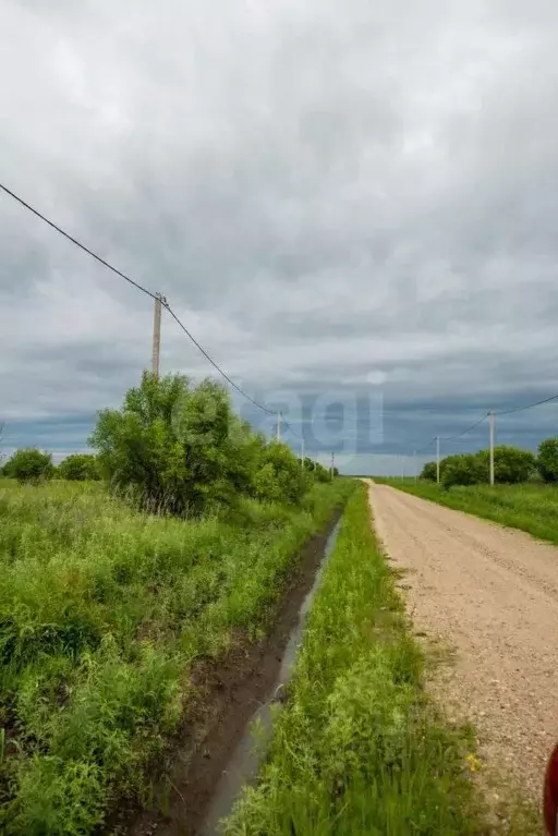 Участок в Амурская область, Благовещенский район, с. Усть-Ивановка ... - Фото 0