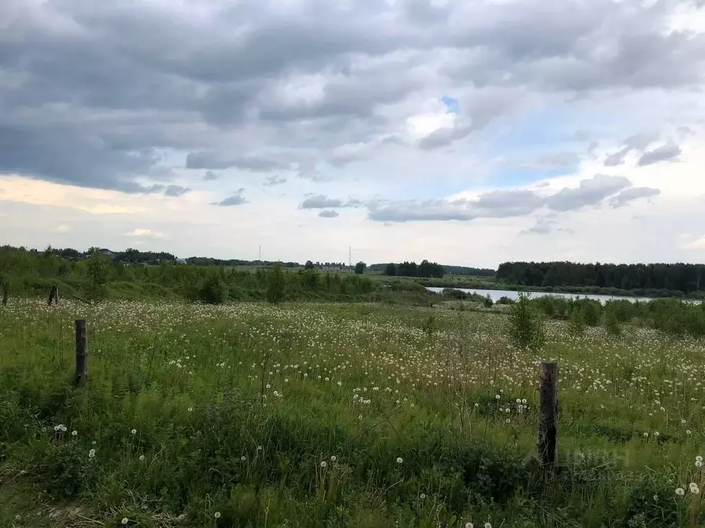 Участок в Ивановская область, Ивановский район, Беляницкое с/пос, д. ... - Фото 2