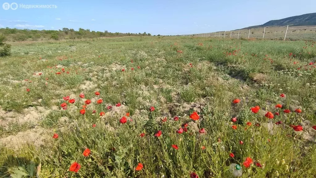 Участок в Бахчисарайский район, Железнодорожненское сельское ... - Фото 0