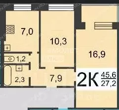 2-к кв. Новосибирская область, Новосибирск ул. Никитина, 70 (45.6 м) - Фото 1