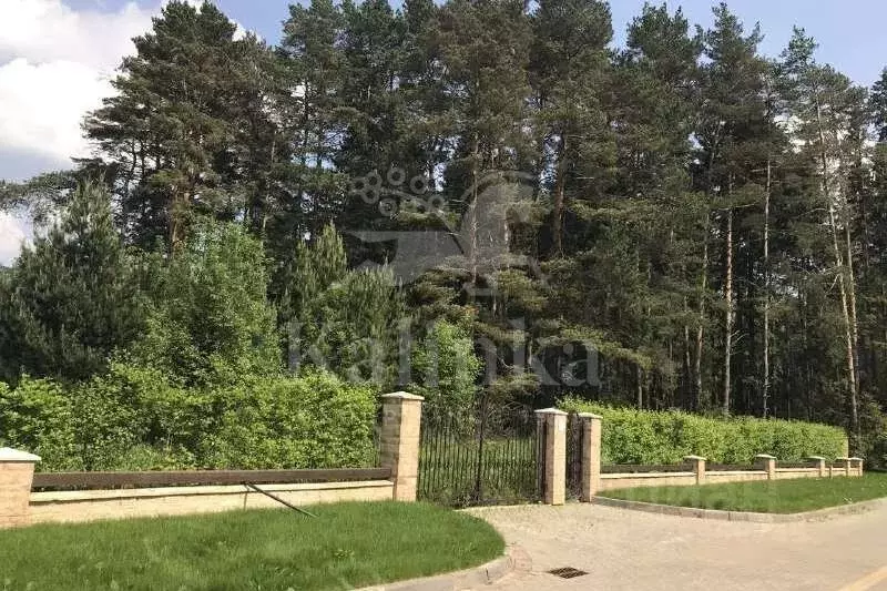 Участок в Московская область, Истра муниципальный округ, д. Чесноково, ... - Фото 1