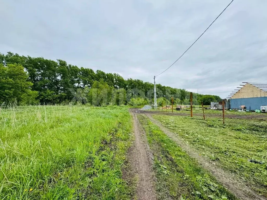 Участок в Кемеровская область, Кемеровский район, с. Ягуново ул. ... - Фото 0