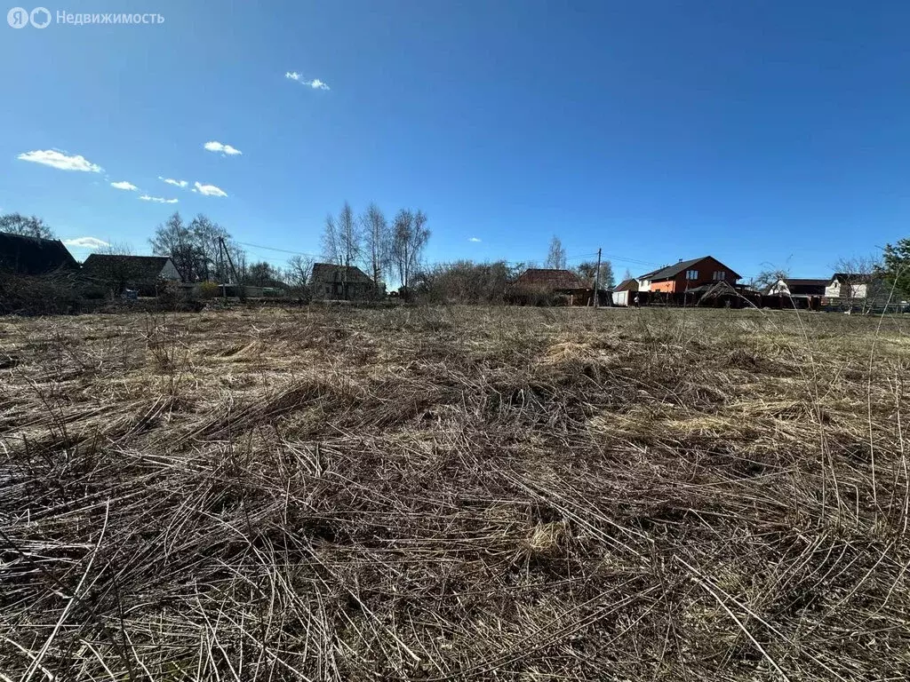 Участок в Брянский район, Снежское сельское поселение, село Толмачево ... - Фото 1