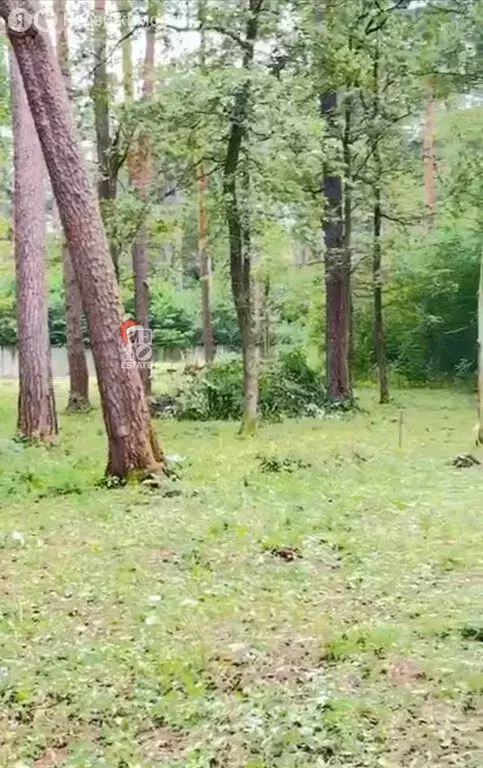 Участок в Одинцовский городской округ, ПСК Серебряные Ручьи (25 м) - Фото 1