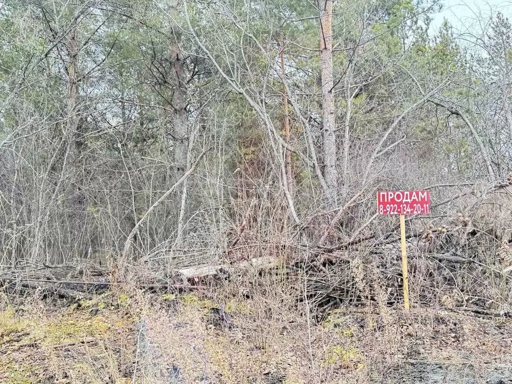 Участок в Свердловская область, Талица  (10.0 сот.) - Фото 1