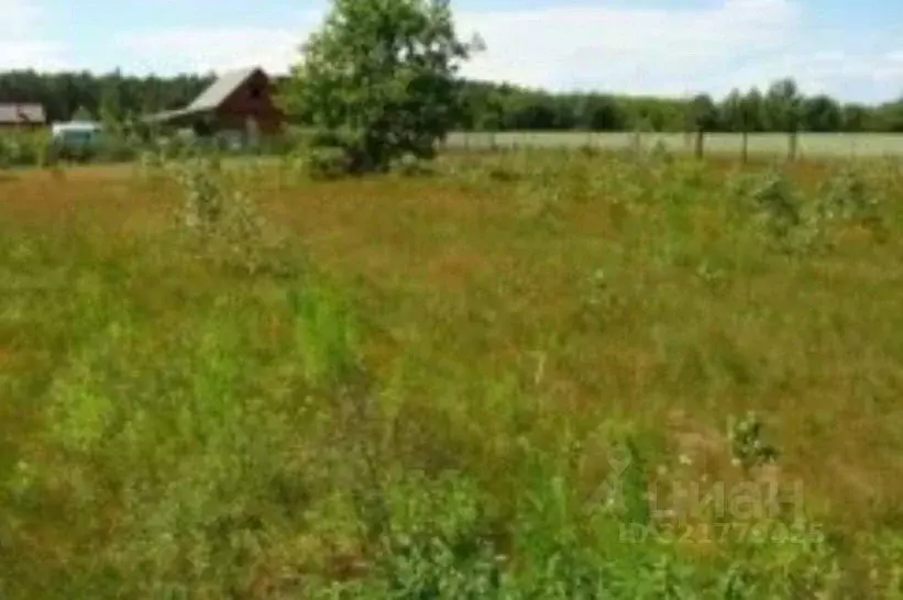 Участок в Волгоградская область, Михайловка Вольная ул., 12А (4.5 ... - Фото 2