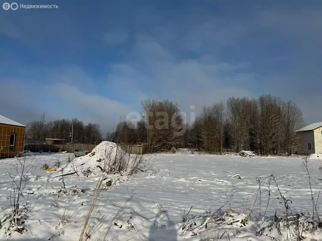 Участок в Череповецкий район, Ирдоматское сельское поселение, деревня ... - Фото 1