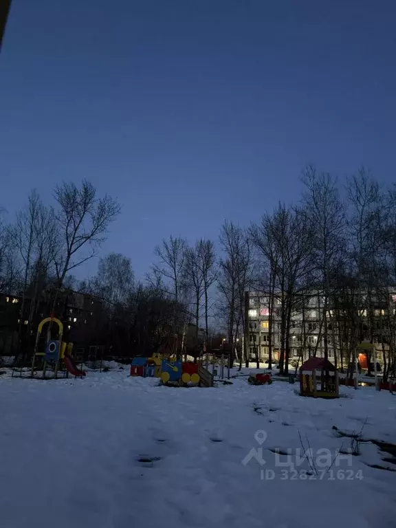 1-к кв. Владимирская область, Петушки Московская ул., 21 (31.1 м) - Фото 2