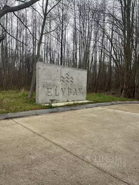 1-к кв. Калининградская область, Светлогорский городской округ, пос. ... - Фото 2